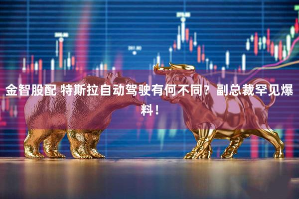 金智股配 特斯拉自动驾驶有何不同？副总裁罕见爆料！